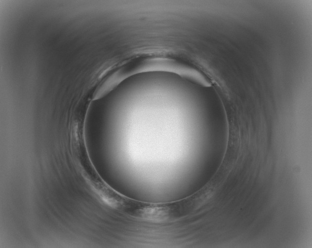 X0000081600117200701151349