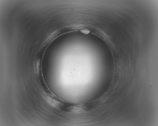 X0000081600118200701151349