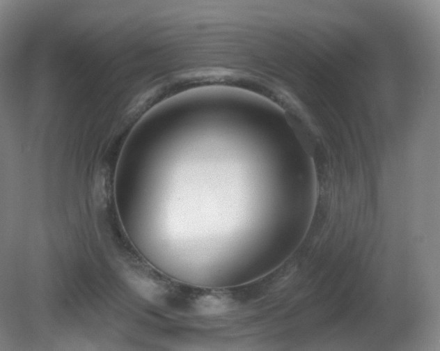 X0000081600119200701151349