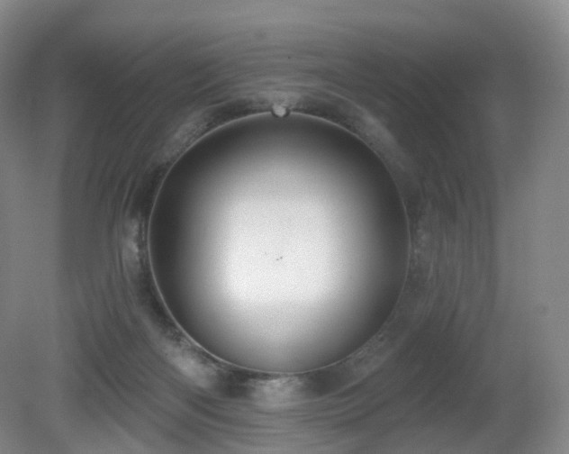 X0000081600122200701151349