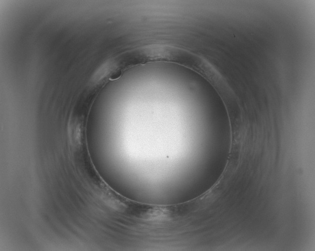 X0000081600124200701151349