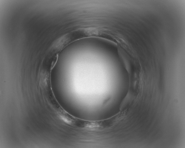 X0000081600125200701151349