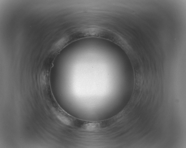 X0000081600126200701151349