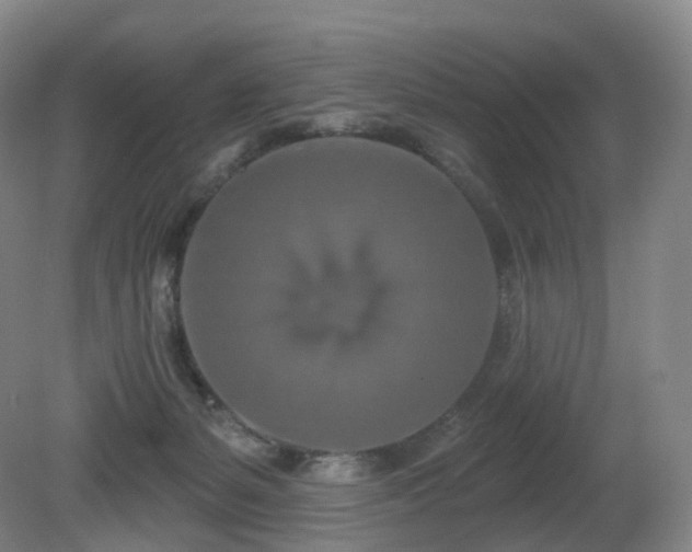 X0000081600127200701151349