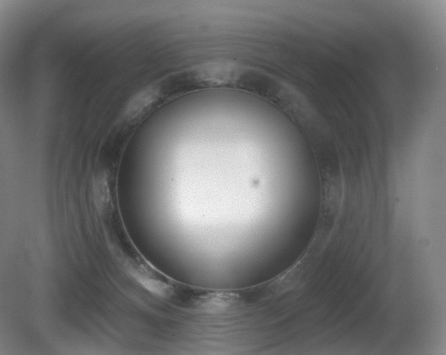 X0000081600128200701151349