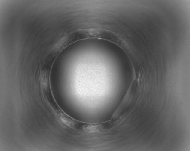 X0000081600129200701151349