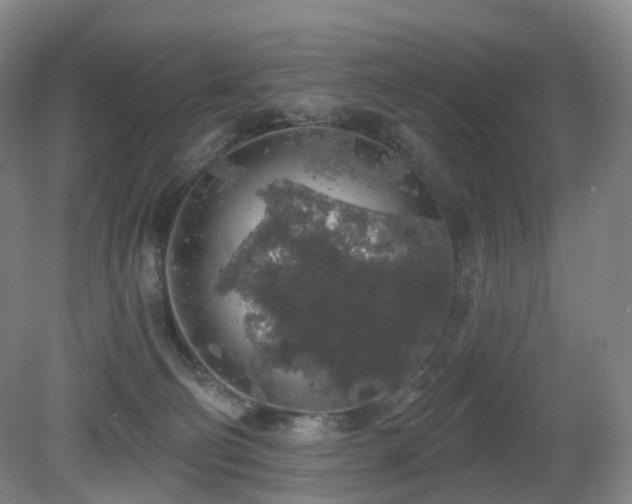 X0000081600130200701151349