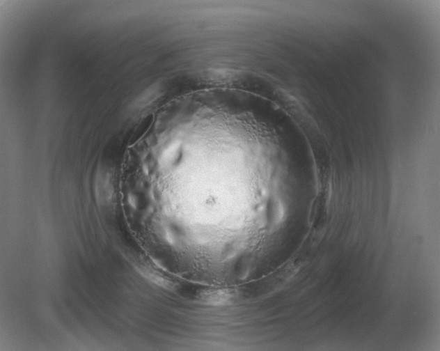 X0000081600131200701151349