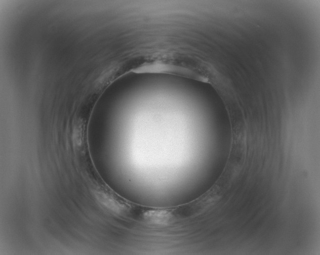 X0000081600133200701151349