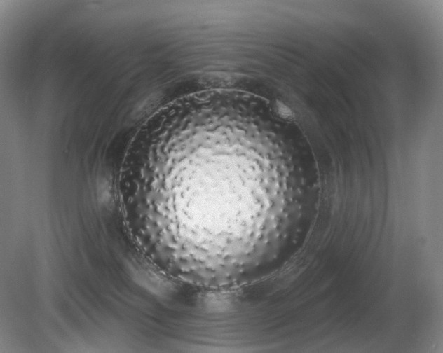 X0000081600134200701151349