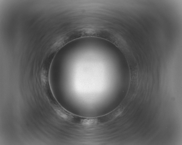 X0000081600135200701151349