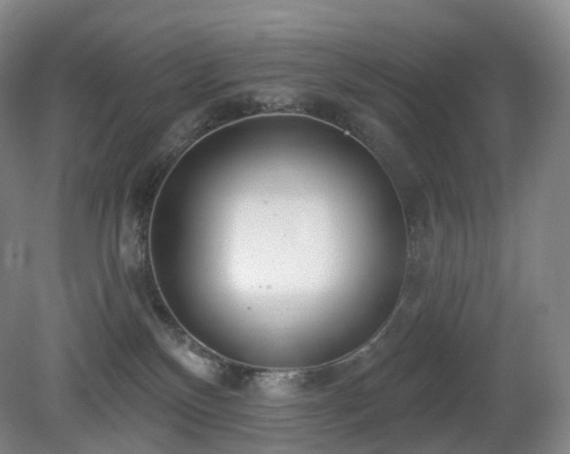 X0000081600136200701151349