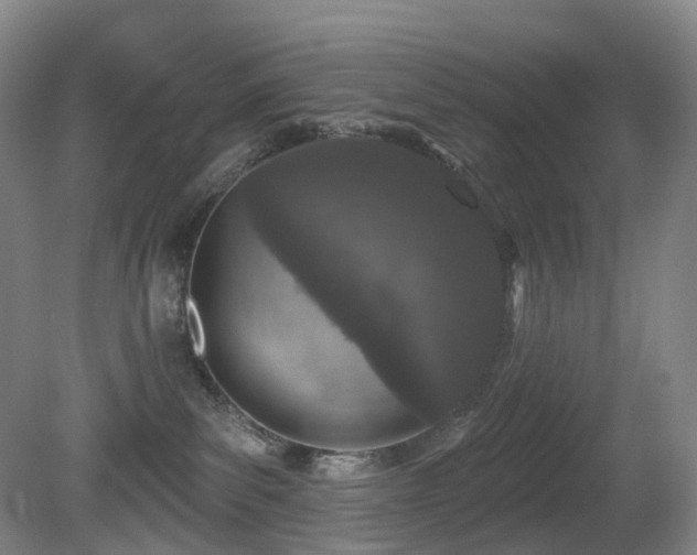 X0000081600139200701151349