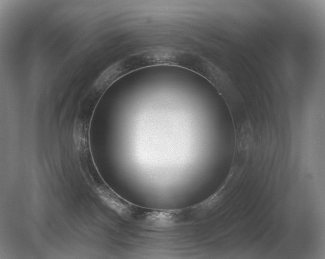 X0000081600140200701151349