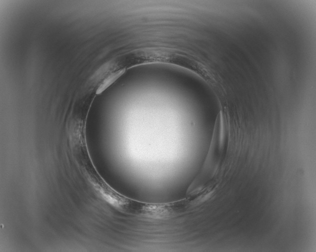 X0000081600141200701151349