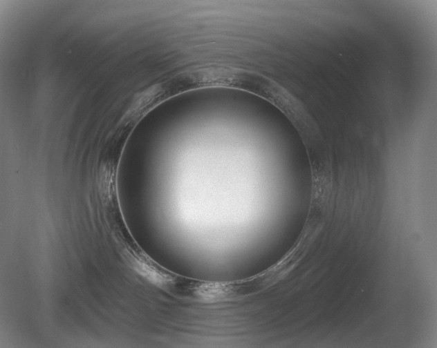 X0000081600142200701151349