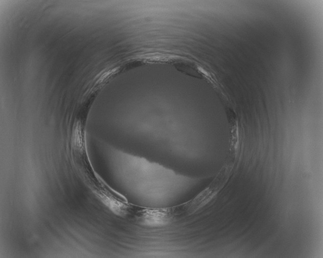 X0000081600143200701151349