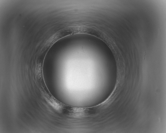 X0000081600144200701151349