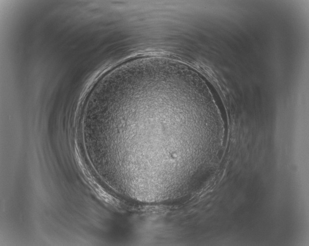 X0000081600145200701151348