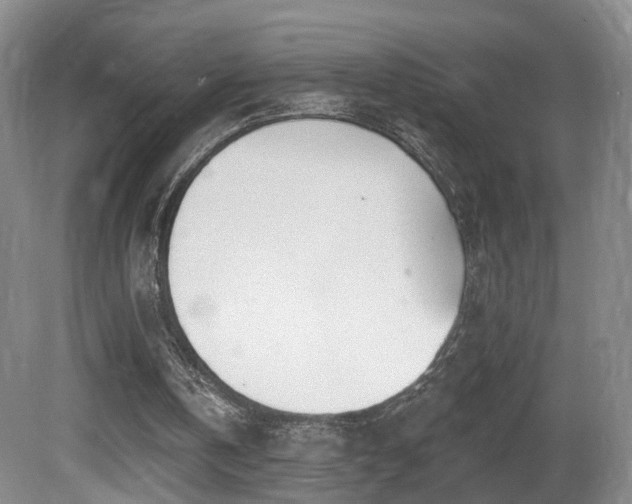 X0000081600146200701151348