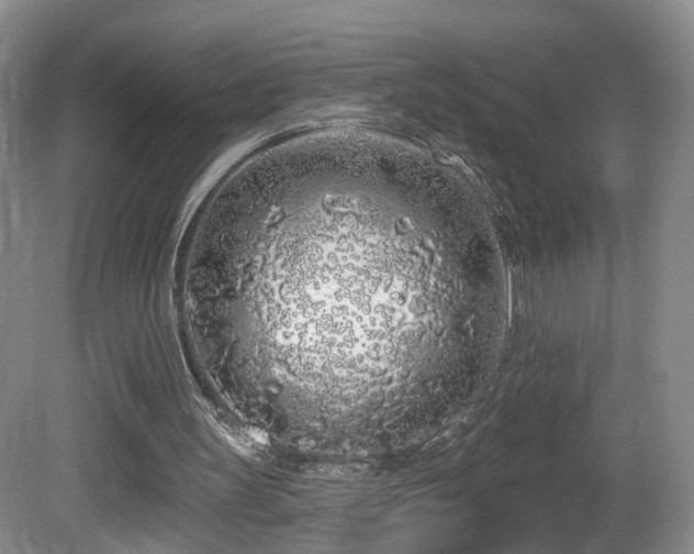 X0000081600147200701151348