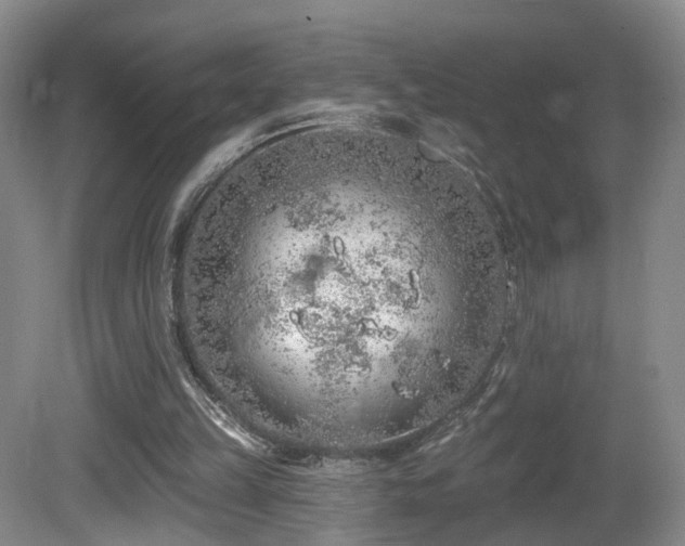 X0000081600149200701151348