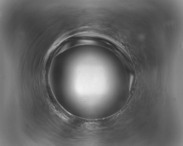 X0000081600150200701151348