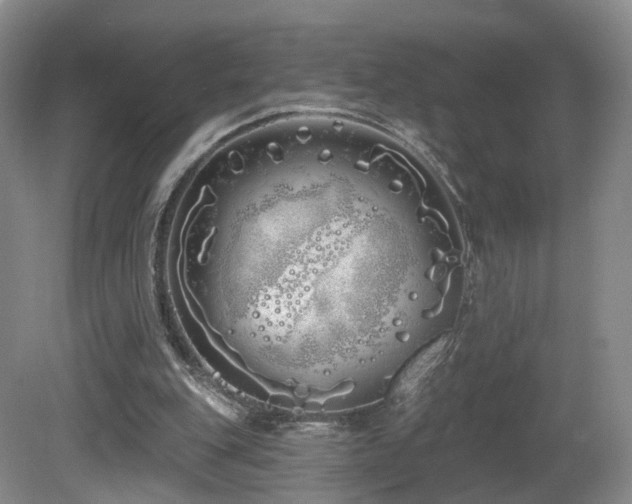 X0000081600151200701151348