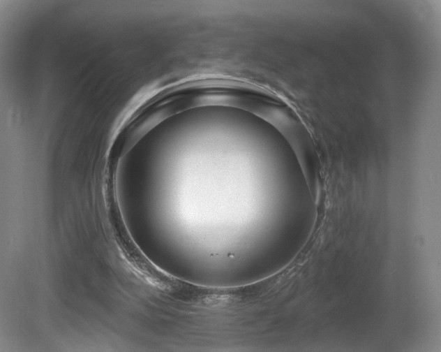 X0000081600152200701151348