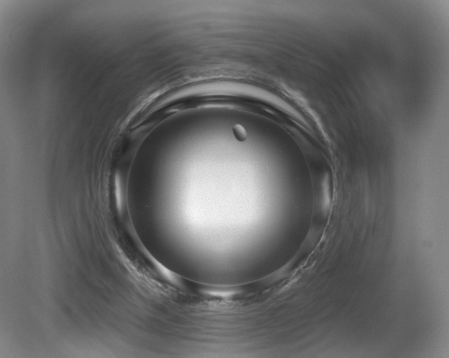 X0000081600154200701151348