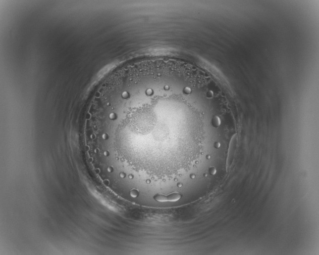 X0000081600155200701151348