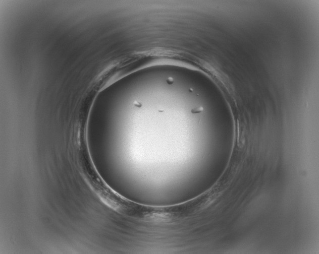 X0000081600157200701151348