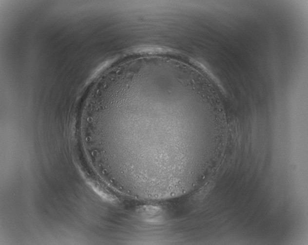 X0000081600159200701151348