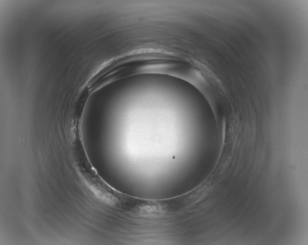 X0000081600160200701151348