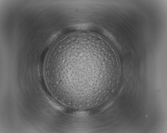 X0000081600161200701151348