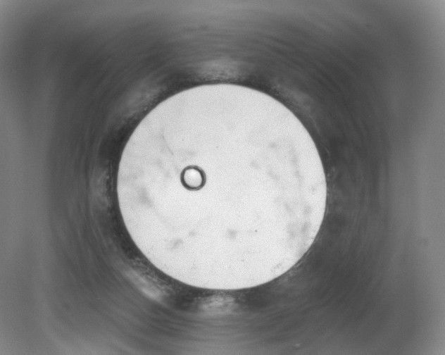 X0000081600162200701151348