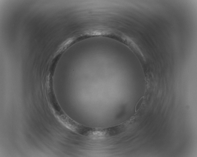 X0000081600163200701151348