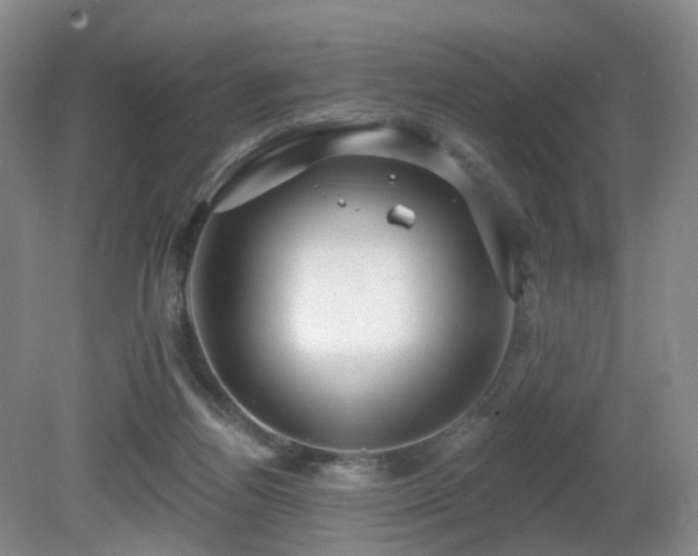 X0000081600164200701151348