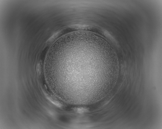 X0000081600165200701151348