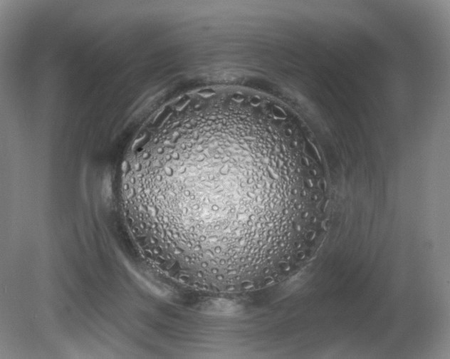 X0000081600166200701151348