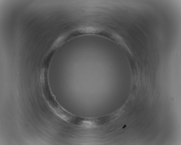 X0000081600167200701151348