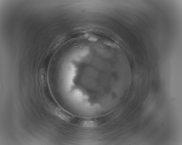 X0000081600169200701151348