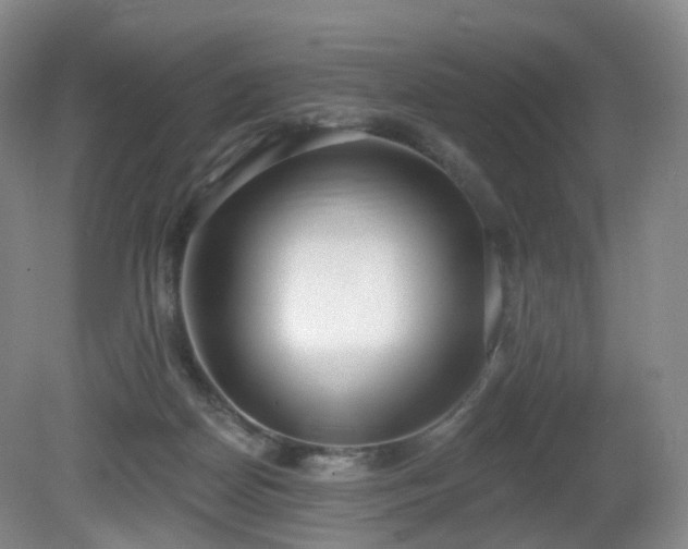 X0000081600170200701151348