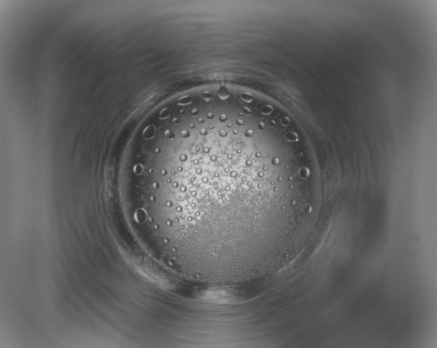 X0000081600171200701151348