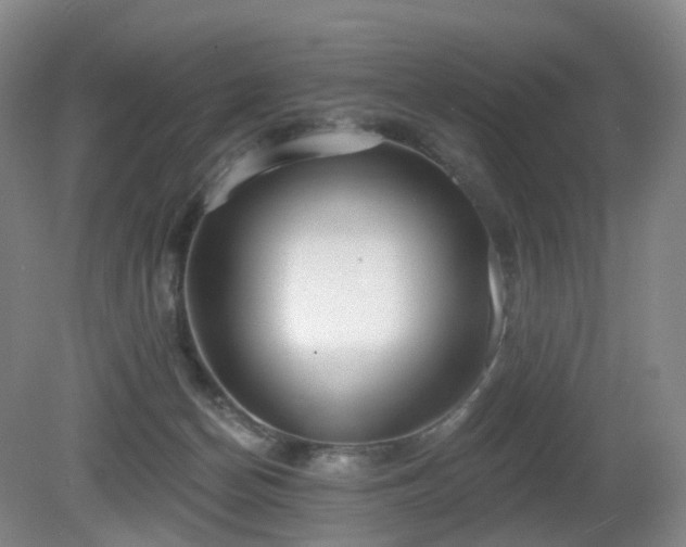 X0000081600174200701151348