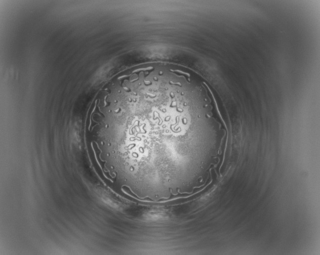 X0000081600175200701151348