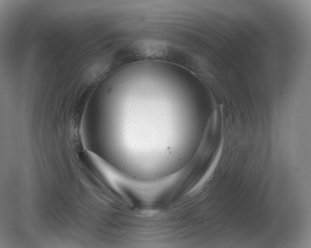 X0000081600176200701151348