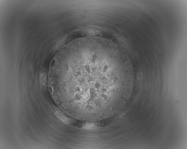 X0000081600177200701151348