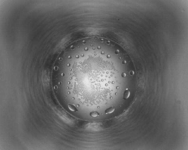 X0000081600179200701151348