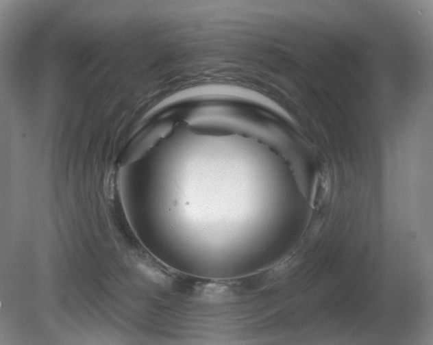 X0000081600180200701151348